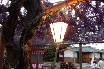 Light up at night in Mandala Temple Park