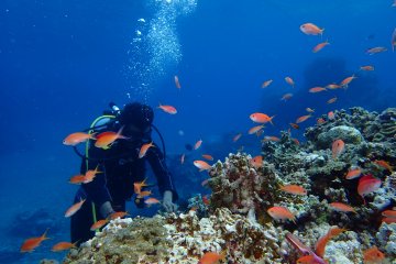 Great visibility and warm waters