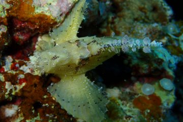 Lots to see near this tropical paradise