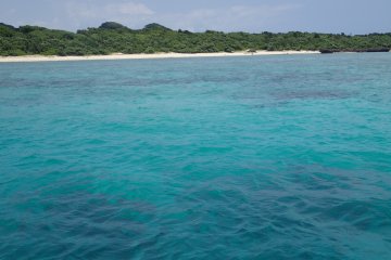 Beautiful blues