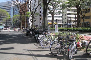 Many people ride bicycles in Tokyo