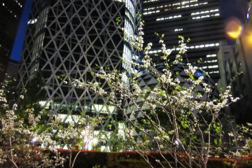 Cocoon building at night