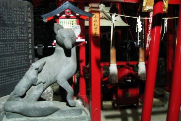Kitsune at the Inari Jinja