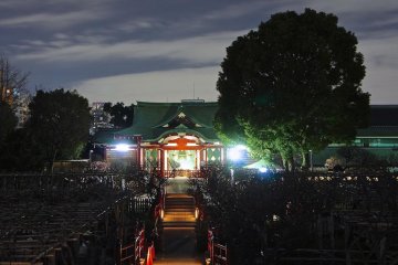 Wonderful Kameido Shrine night scene