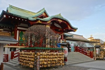 Kameido Shrine during the day