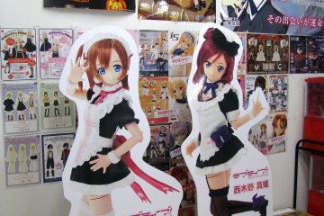 You can find special dolls in Akiba or order your own design of BJD
