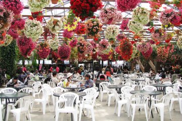 Fascinating flower decoration