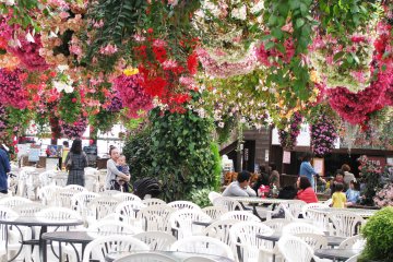 Cafe zone is also full of flowers