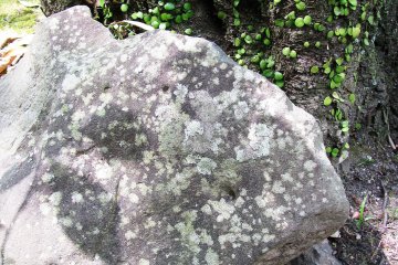 I like all fragments of the garden