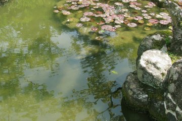 Small pond traditionally placed in Japanese garden