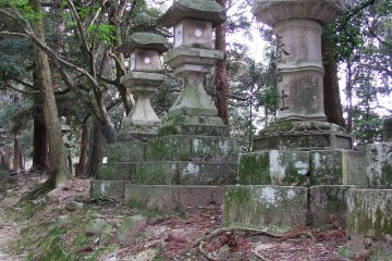 Old stone lanterns are often met in Nara park