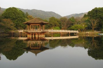 Beautiful pavilion