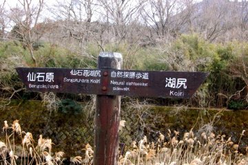 Well-marked trail