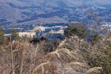 Glimpses of the valley
