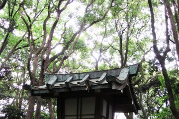 Beautiful lantern