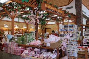 Souvenir shop