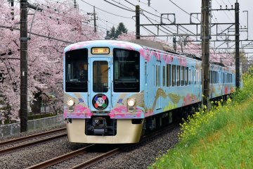  Discover the Beauty of Northwest Tokyo with Seibu Railway