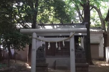One of the side shrines