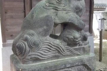 An unusual guardian