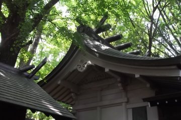 You wouldn't know you're in the middle of Tokyo