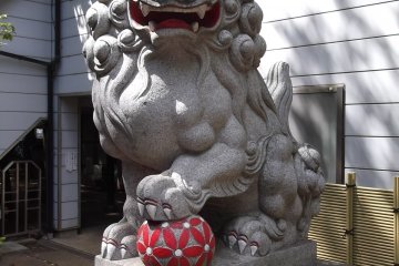 This lion has a ball