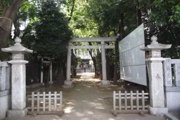 The main gate from the street