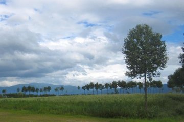 On the path toward the lake