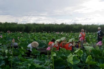 A light rain caught mine and another boat out on the lake. Fortunately, the large hadzu leaves made excellent umbrellas