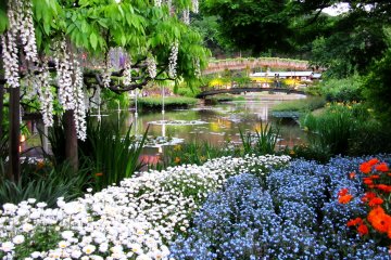 One of the park's picturesque views
