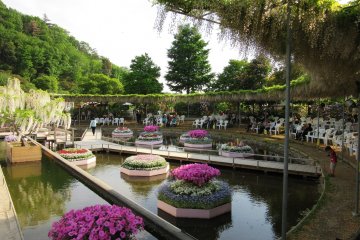 You can find many places to rest in the park