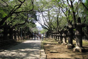 The alley of lanterns