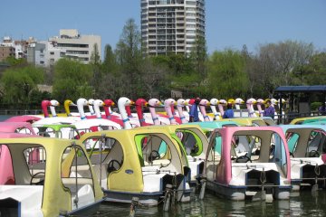 Duck boats