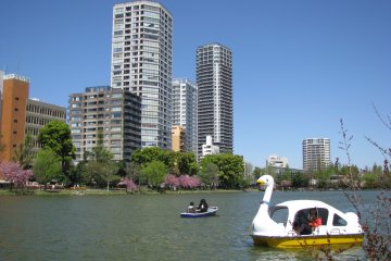 Ueno Koen's neighborhood