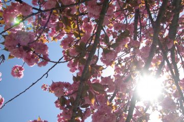 A fine day!