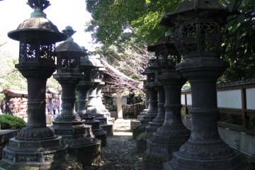 In Ueno Koen, there are many lines of dfferent lanterns