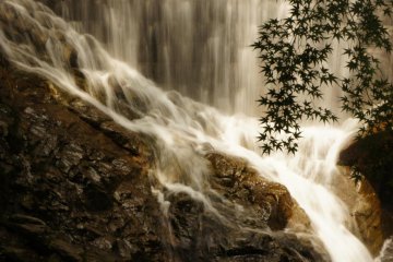 Autumn leaves and Nunobiki Falls