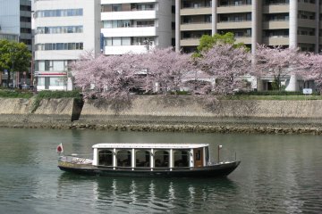 At Motoyasuzawa River