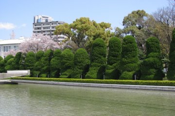 Interesting shape of trees