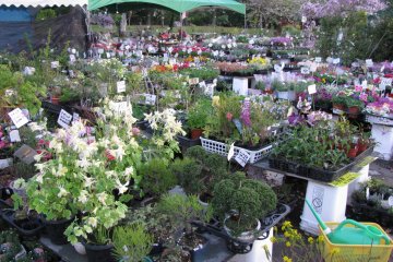 Flower market
