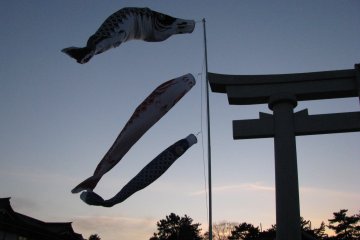 Silhouettes 