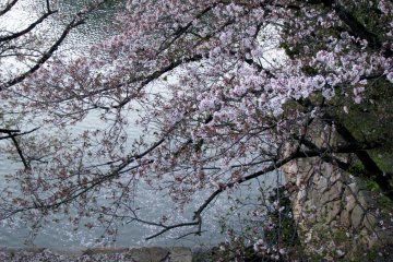Peaceful evening in Hiroshima