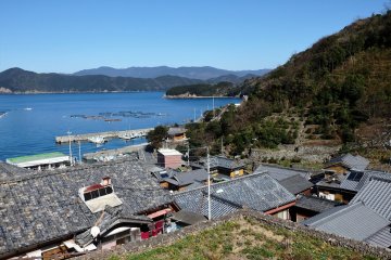 Looking out over a small cluster of homes
