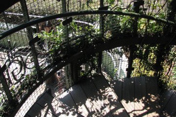 Spiral staircase inside the tower
