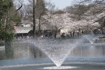 Behind the fountain one can see a lot of people walking
