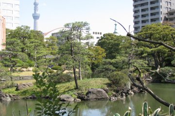 Kyu-Yasuda Taien