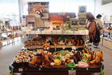 Red panda soft toys