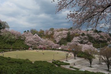 Large spacious green spaces