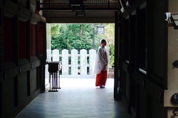 A shrine maiden