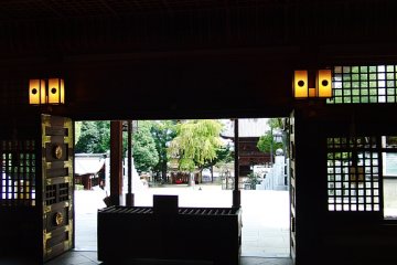 Inside looking out