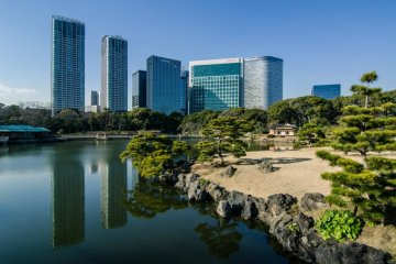 Some of Tokyo's buildings overlook the garden, making for a wonderfully photogenic scene